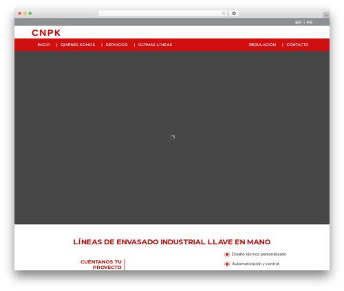 WordPress theme Divi - cnpk.es