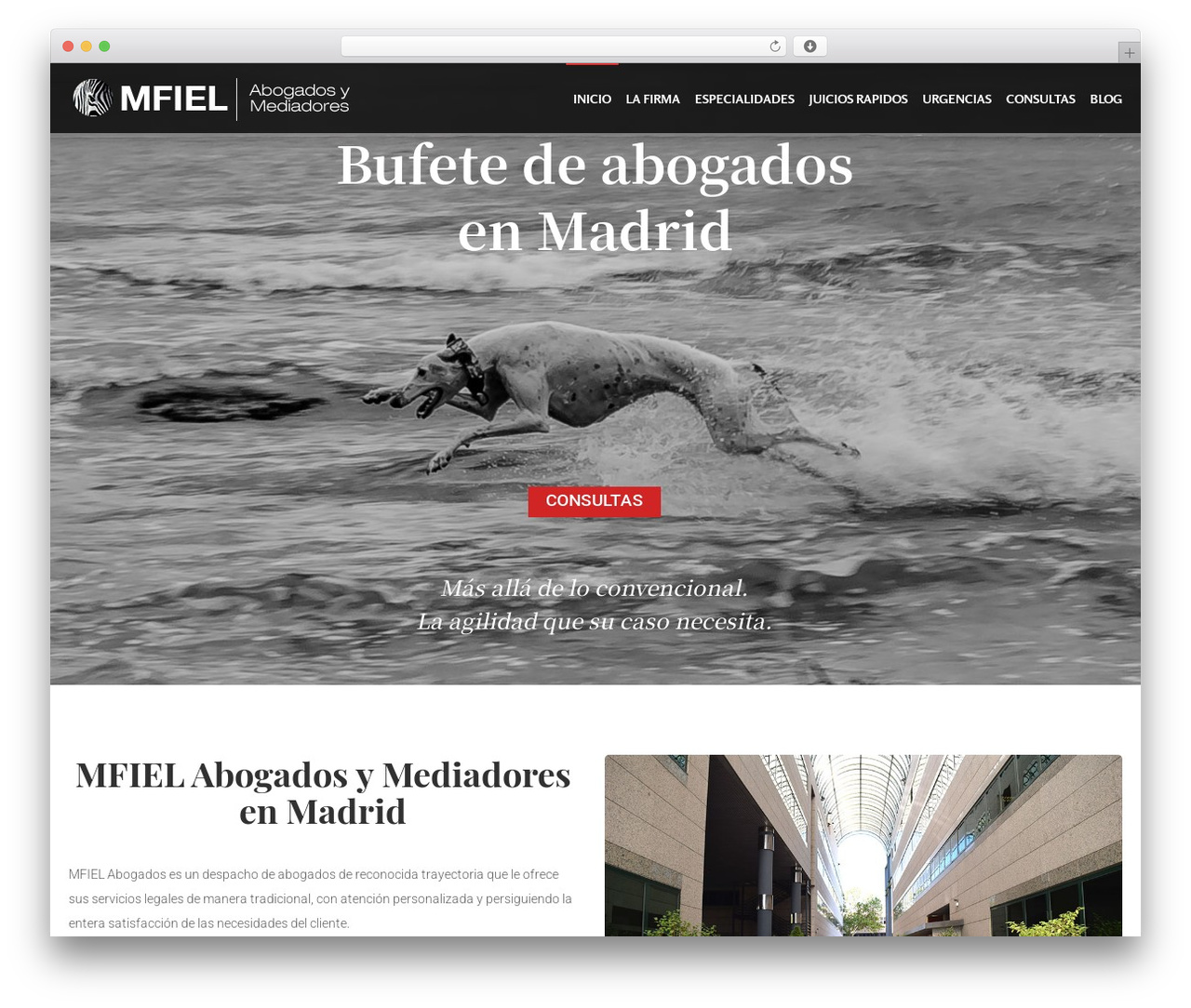 DFD Native WordPress page theme - mfielabogados.com
