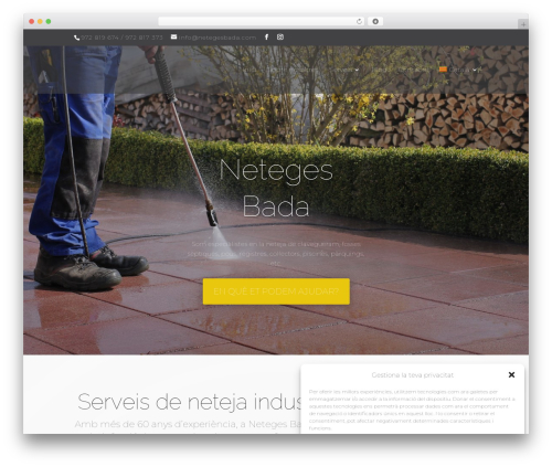 Divi WordPress theme - netegesbada.com