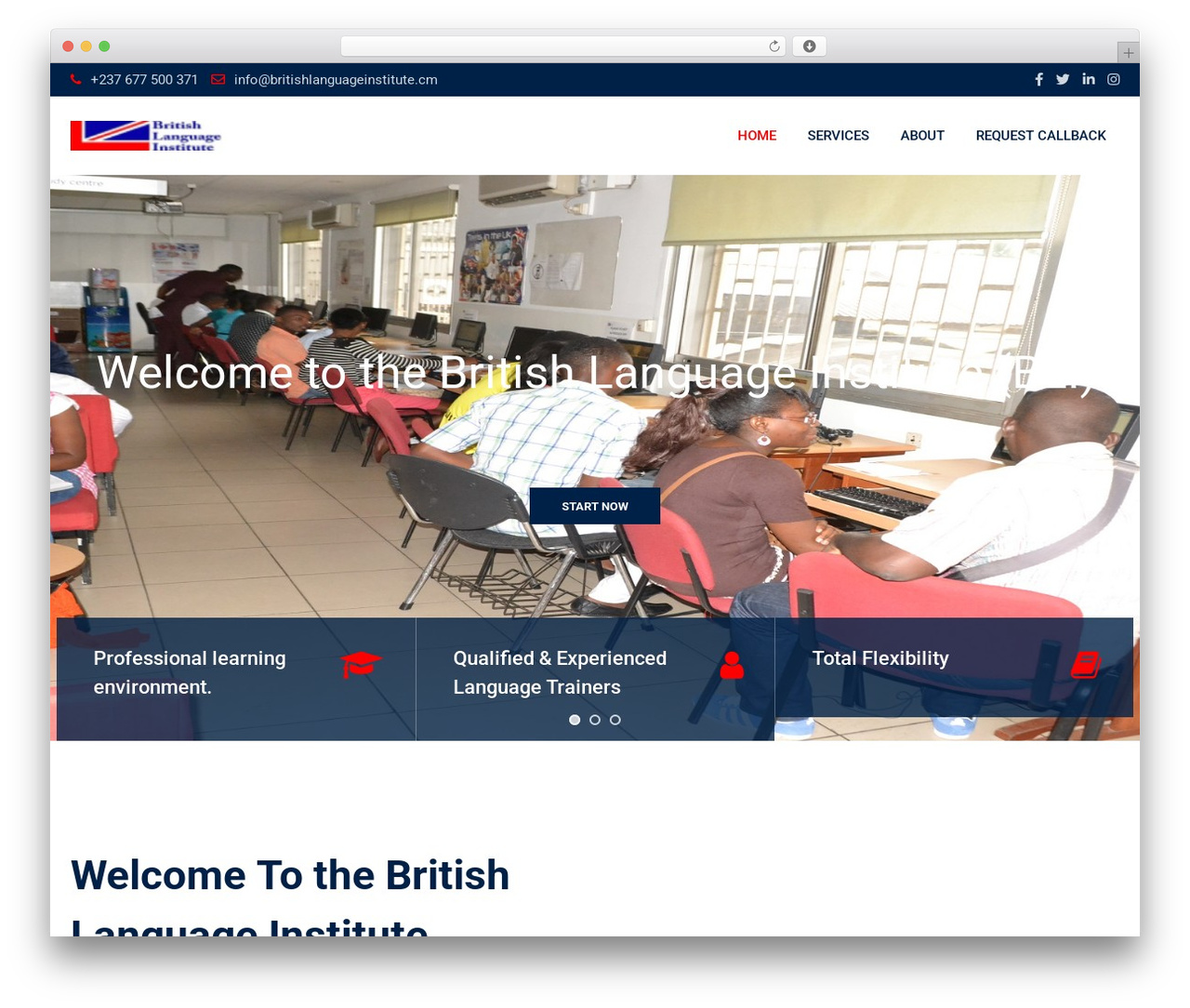WordPress theme Eikra - britishlanguageinstitute.cm