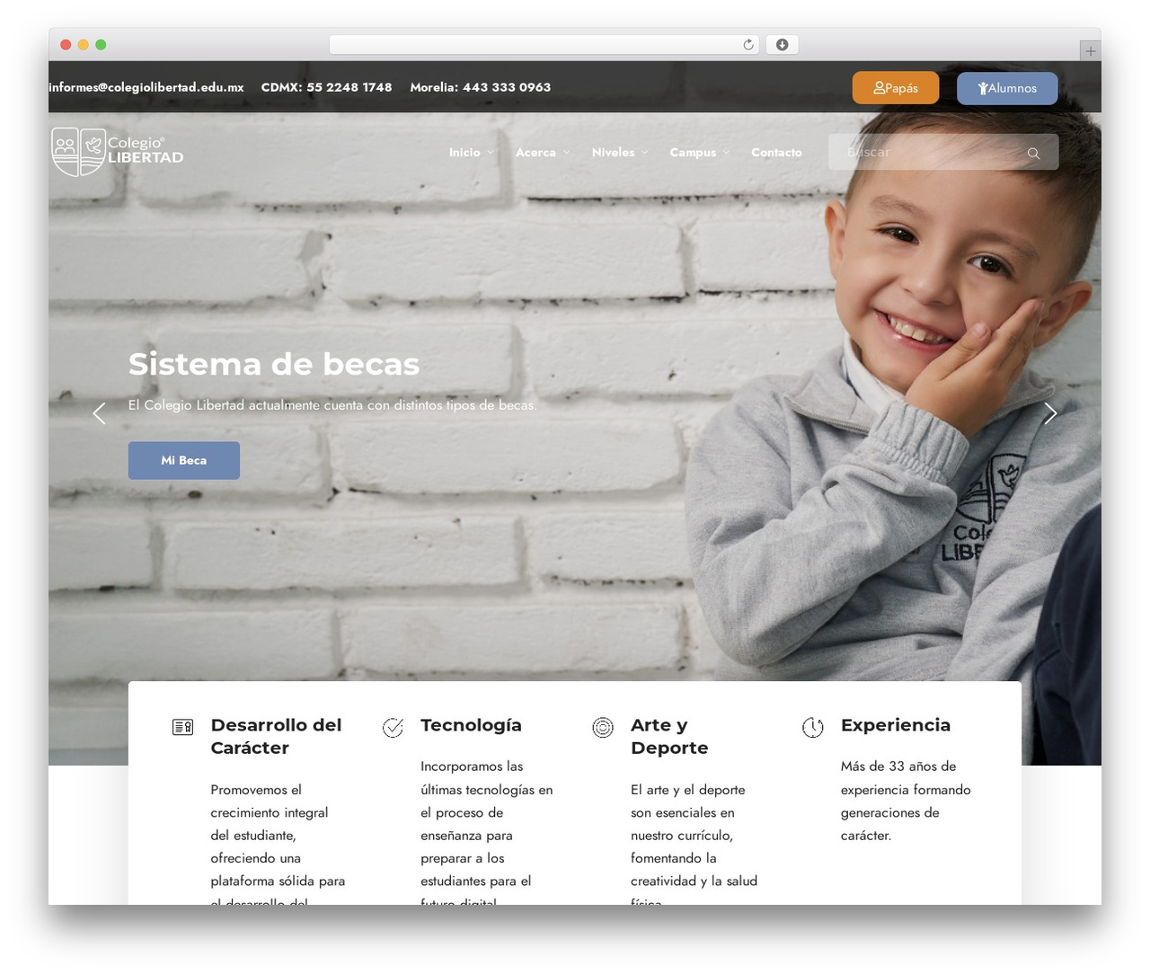 Coursector WordPress theme - colegiolibertad.com