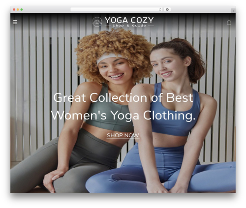 Alids WordPress plugin - yogacozy.com