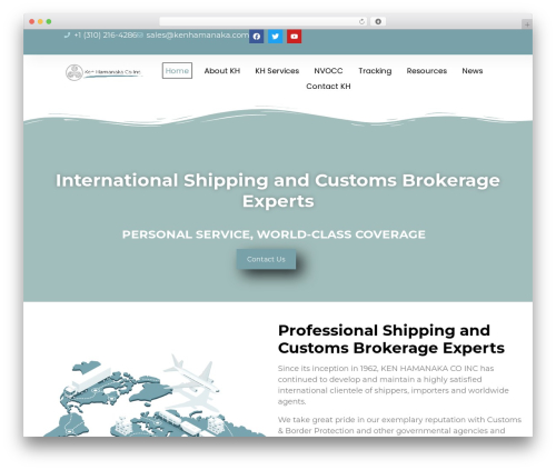 Tenweb builder WordPress plugin - kenhamanaka.com