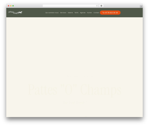 Mobile info dr WordPress plugin - pattesochamps.ch