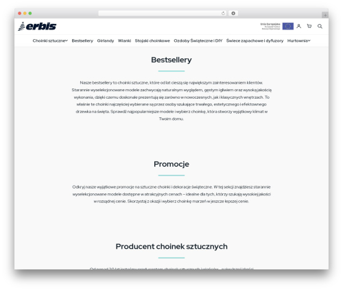 theme5 WordPress theme - erbis.com.pl