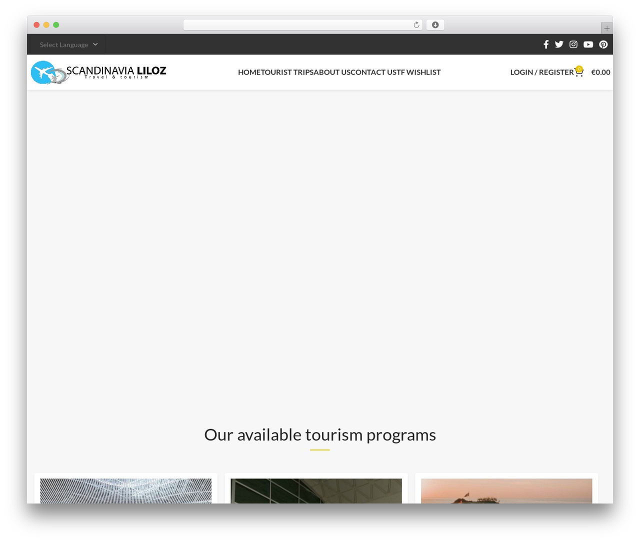 WordPress theme eGateweb - scandinavialiloz.com