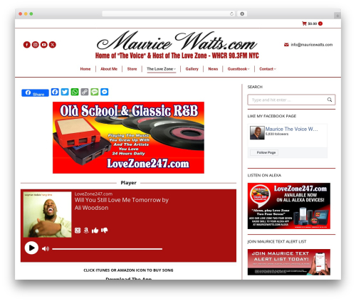 WP theme the7dtchild - mauricewatts.com/thelovezone247