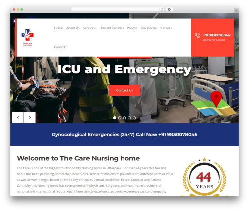 Codesk themer WordPress plugin - thecarenursinghome.com