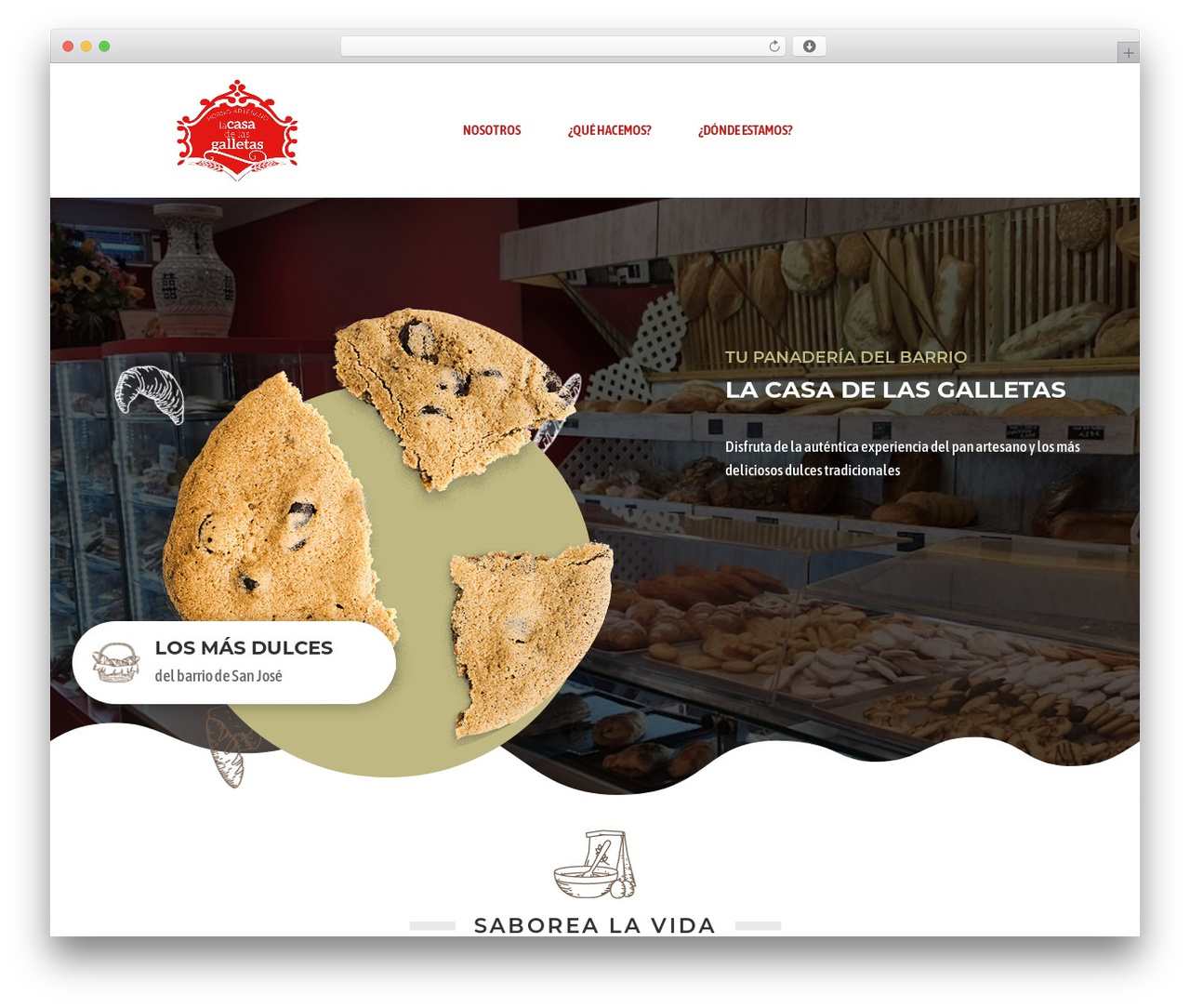 Divi WordPress theme - paruben.com