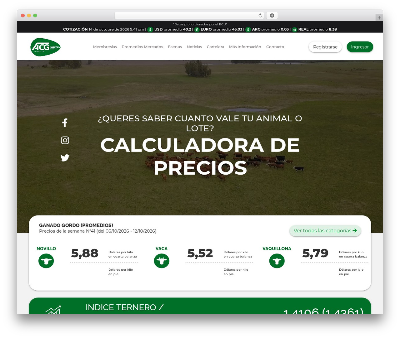 Theme WordPress ACG - acg.com.uy Theme WordPress ACG - acg.com.uy