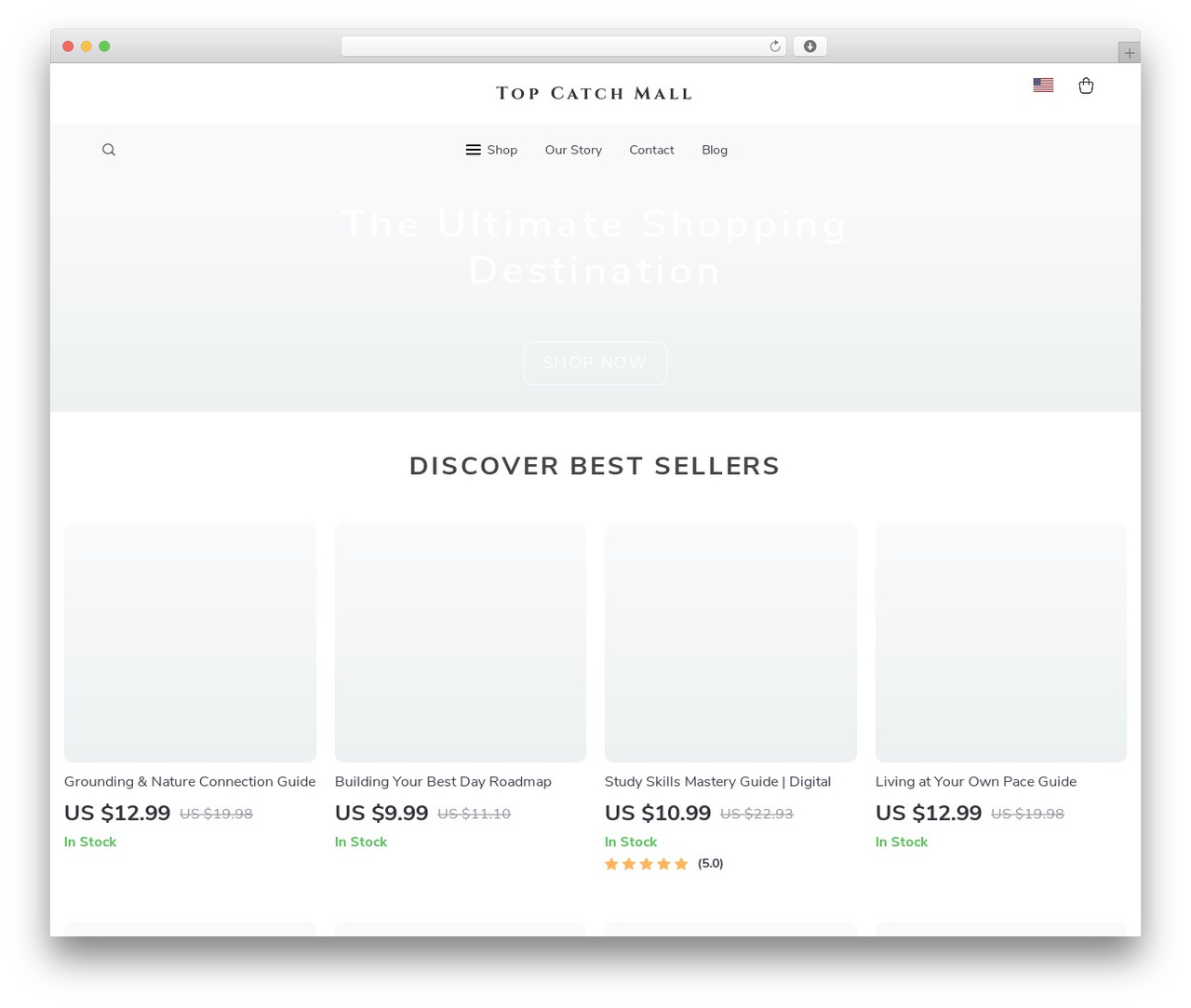 Botticelli WP theme - topcatchmall.shop