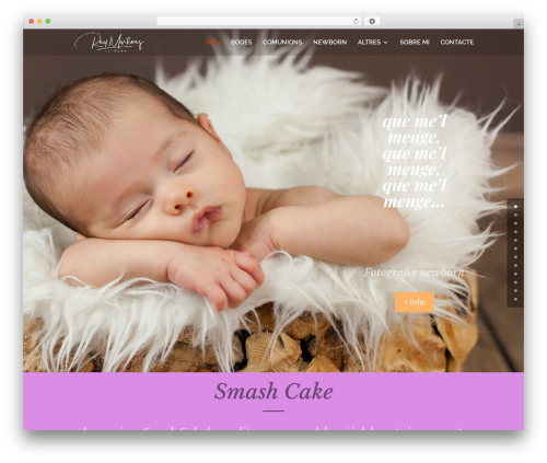 Divi WordPress theme - raymartinez.es
