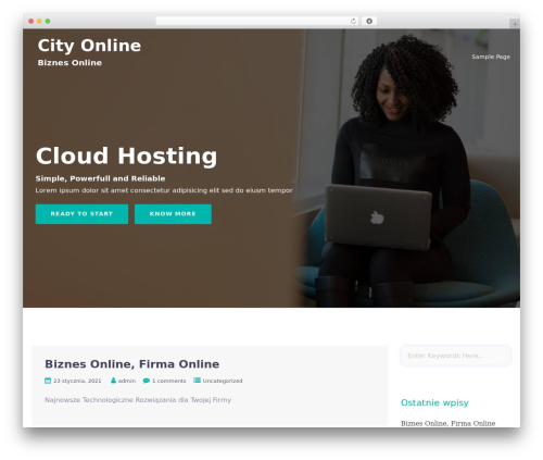Webhost theme WordPress - slomniki.com