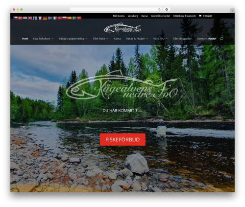 WordPress theme Divi - kagealven.com