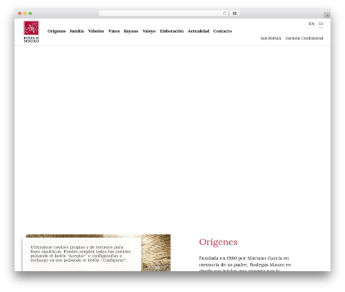 WordPress theme MSG - bodegasmauro.com