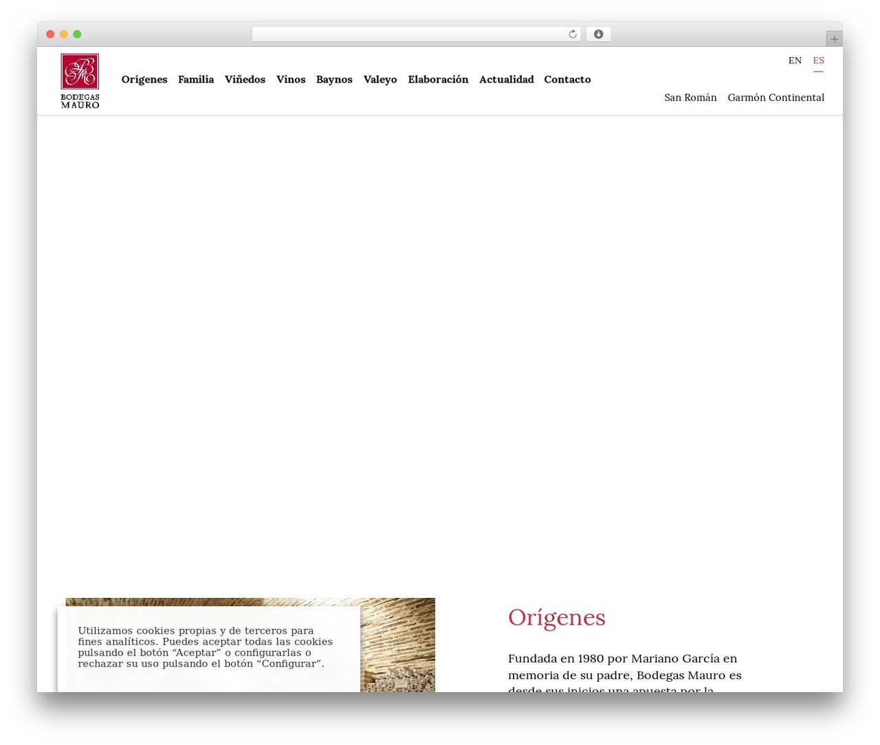 WordPress theme MSG - bodegasmauro.com WordPress theme MSG - bodegasmauro.com