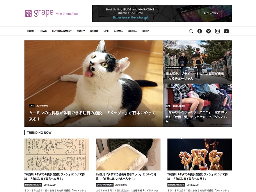 WP theme Grape PC v2 WP theme Grape PC v2