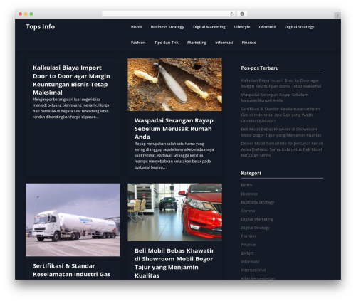 Dark Ecommercely WordPress ecommerce theme - topquesinfo.com Dark Ecommercely WordPress ecommerce theme - topquesinfo.com