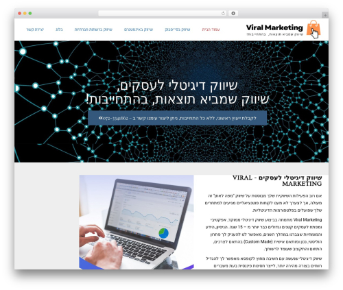 Everest WordPress website theme - viralmarketing.co.il