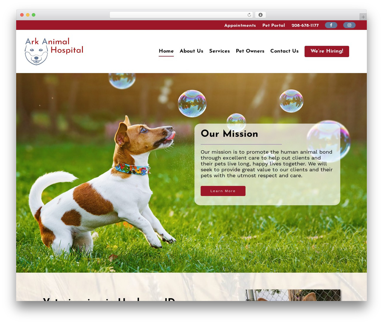Salient theme WordPress - arkvethospital.com