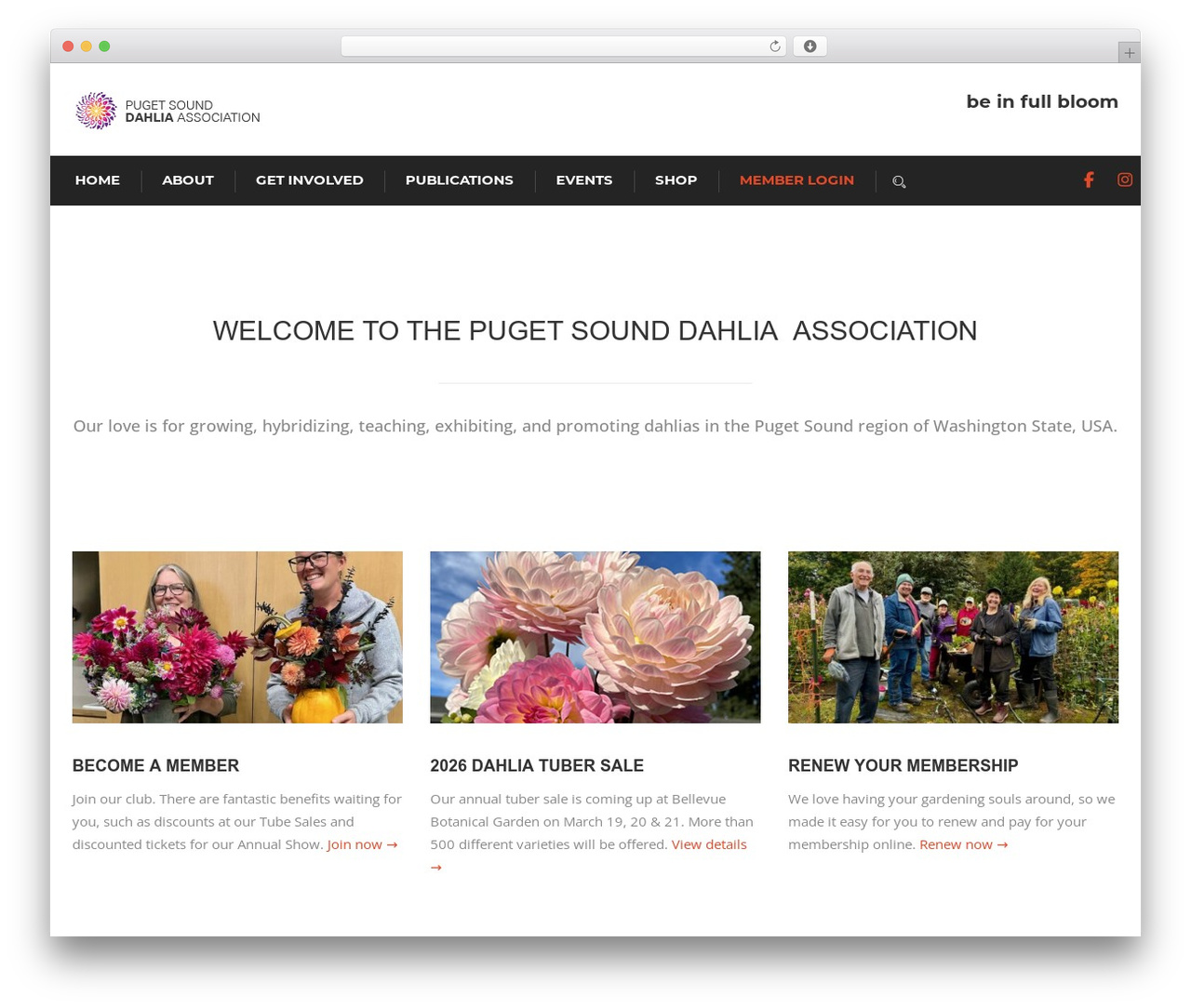 WordPress theme Envit - pugetsounddahlias.com WordPress theme Envit - pugetsounddahlias.com