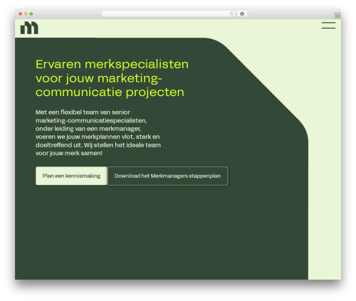 Display form entries WordPress plugin - www.merkmanagers.nl