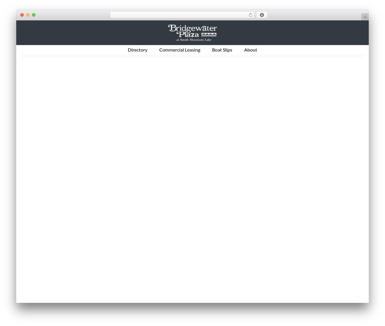 Hello Elementor Child theme WordPress - bridgewaterplaza.com