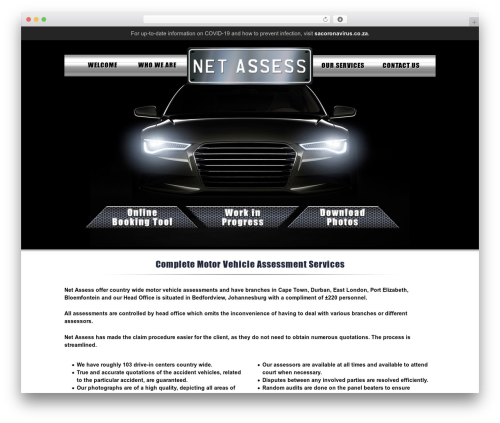 Responsive best free WordPress theme - netassess.co.za