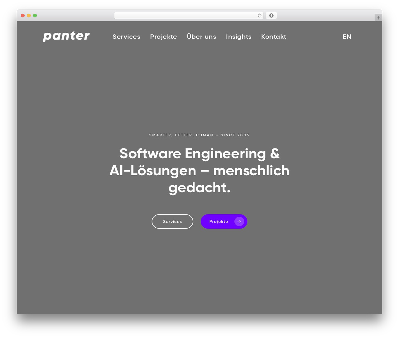 Salient WordPress theme - panter.ch Salient WordPress theme - panter.ch