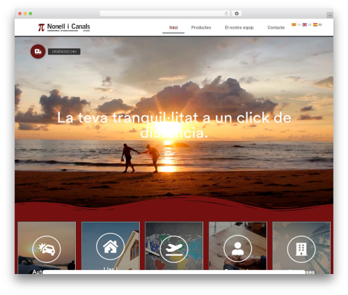 WP theme Webify - nonellicanals.com