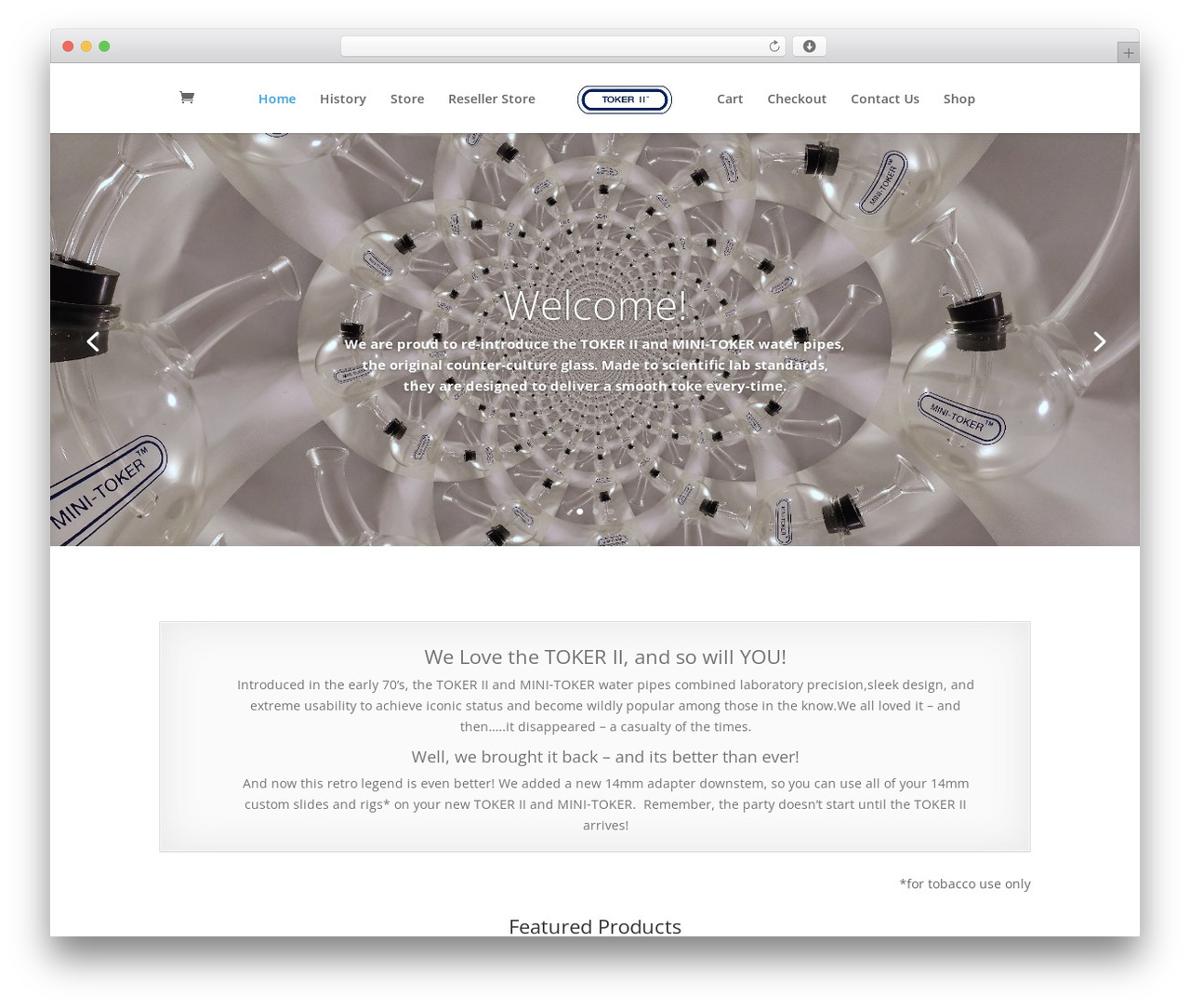 Divi theme WordPress - toker2.com
