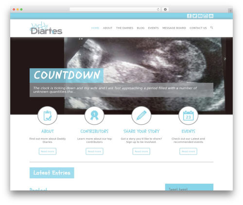 Simple instagram WordPress plugin - thedaddydiaries.org