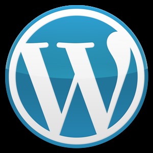 original_theme WordPress theme by takahashi