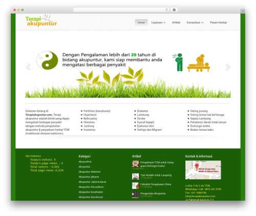 WordPress theme Souffle (shared on wplocker.com) - terapiakupuntur.com