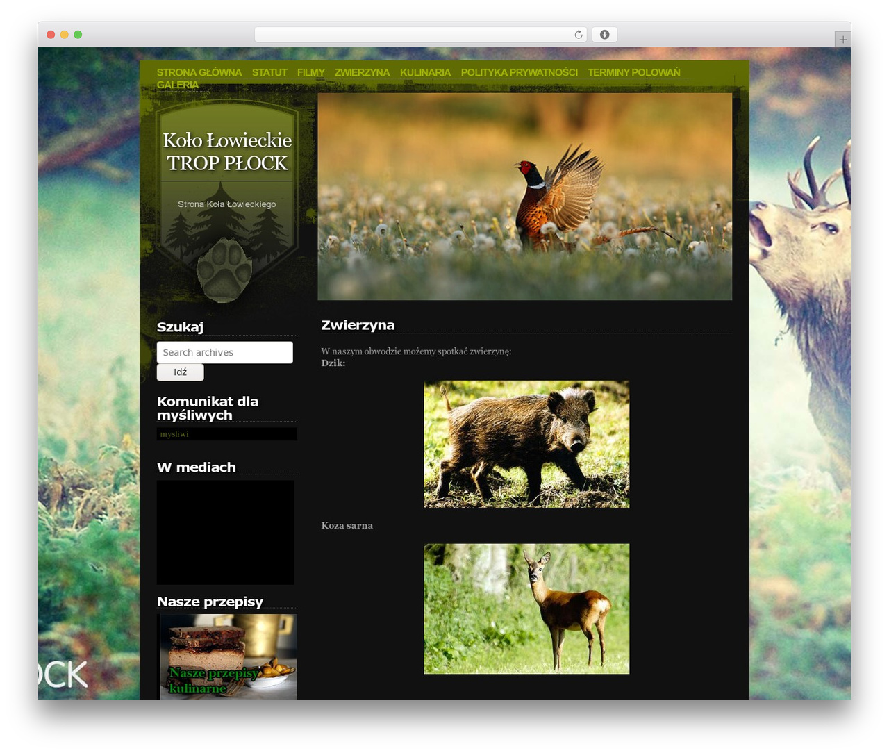 WordPress theme Alpine - trop-plock.pl WordPress theme Alpine - trop-plock.pl