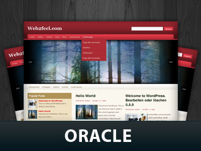 WordPress theme Oracle by Jinsona
