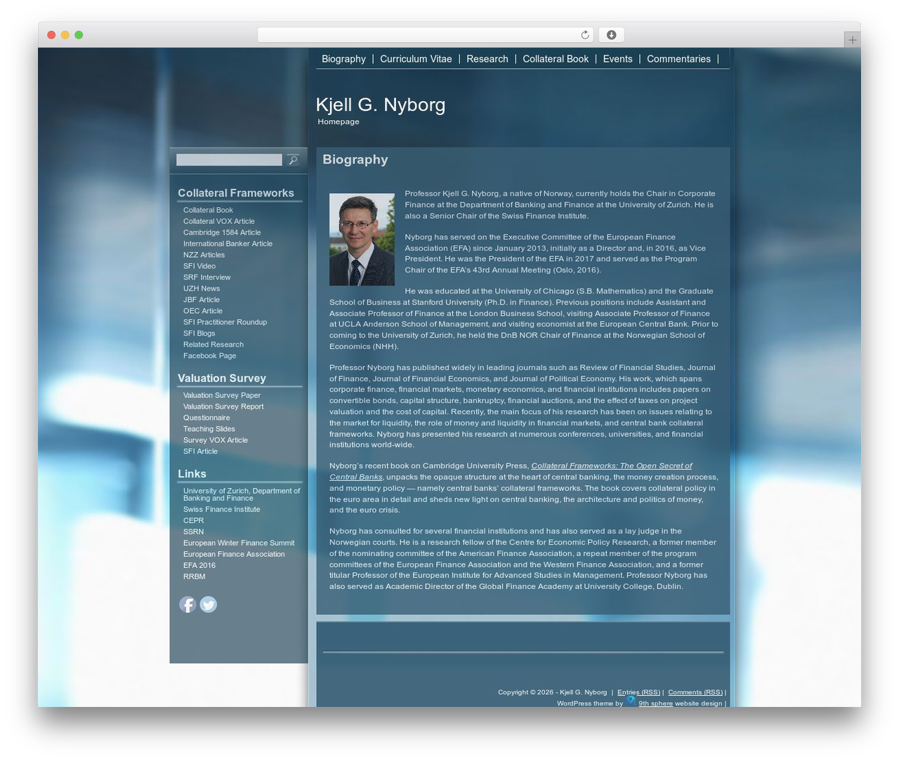 Blue Diffusion WordPress theme - nyborg.ch