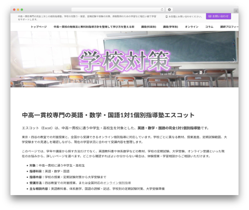 Lightning g3 pro unit WordPress plugin - juku-escot.com