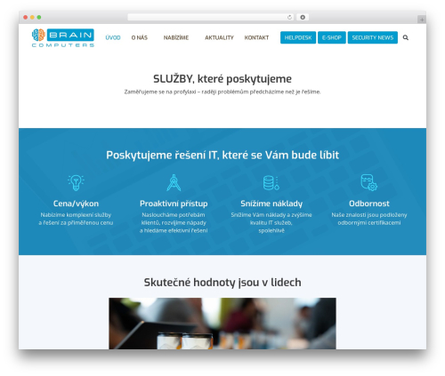 WordPress theme drs - brain.cz