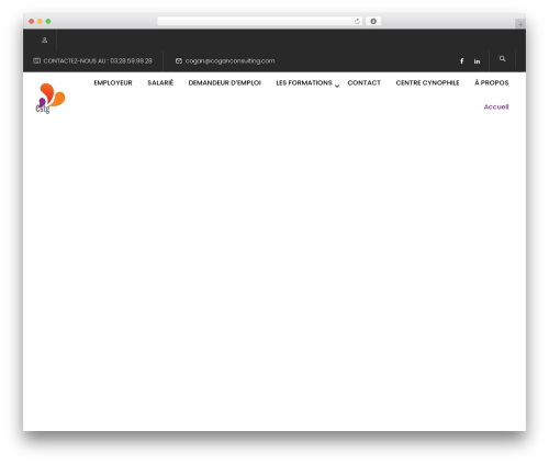 WordPress theme Eduma - coganconsulting.com