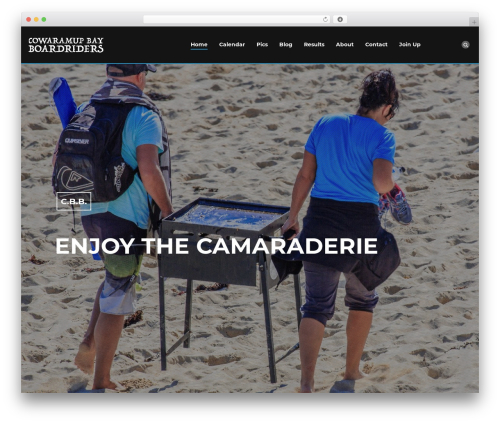 Wp hummingbird WordPress plugin - cowbay.com.au