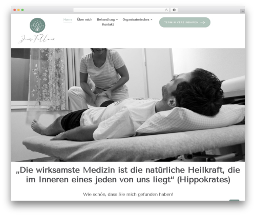 PhysioZen theme WordPress - inesfellner.com