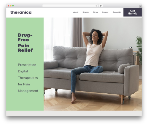 Qtheme WordPress theme - theranica.com