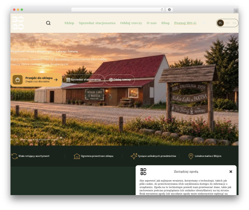 Queryra ai search WordPress plugin - bo-go.pl
