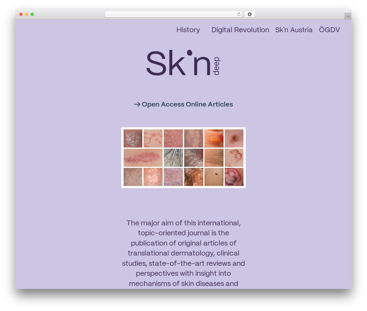 WP theme Canvas - skinonline.org WP theme Canvas - skinonline.org