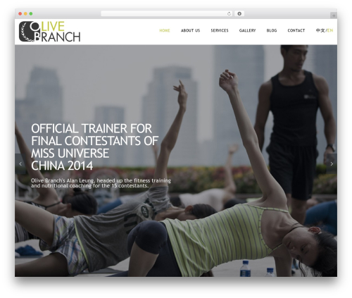 Eight Degree WP theme - olivebranch.life