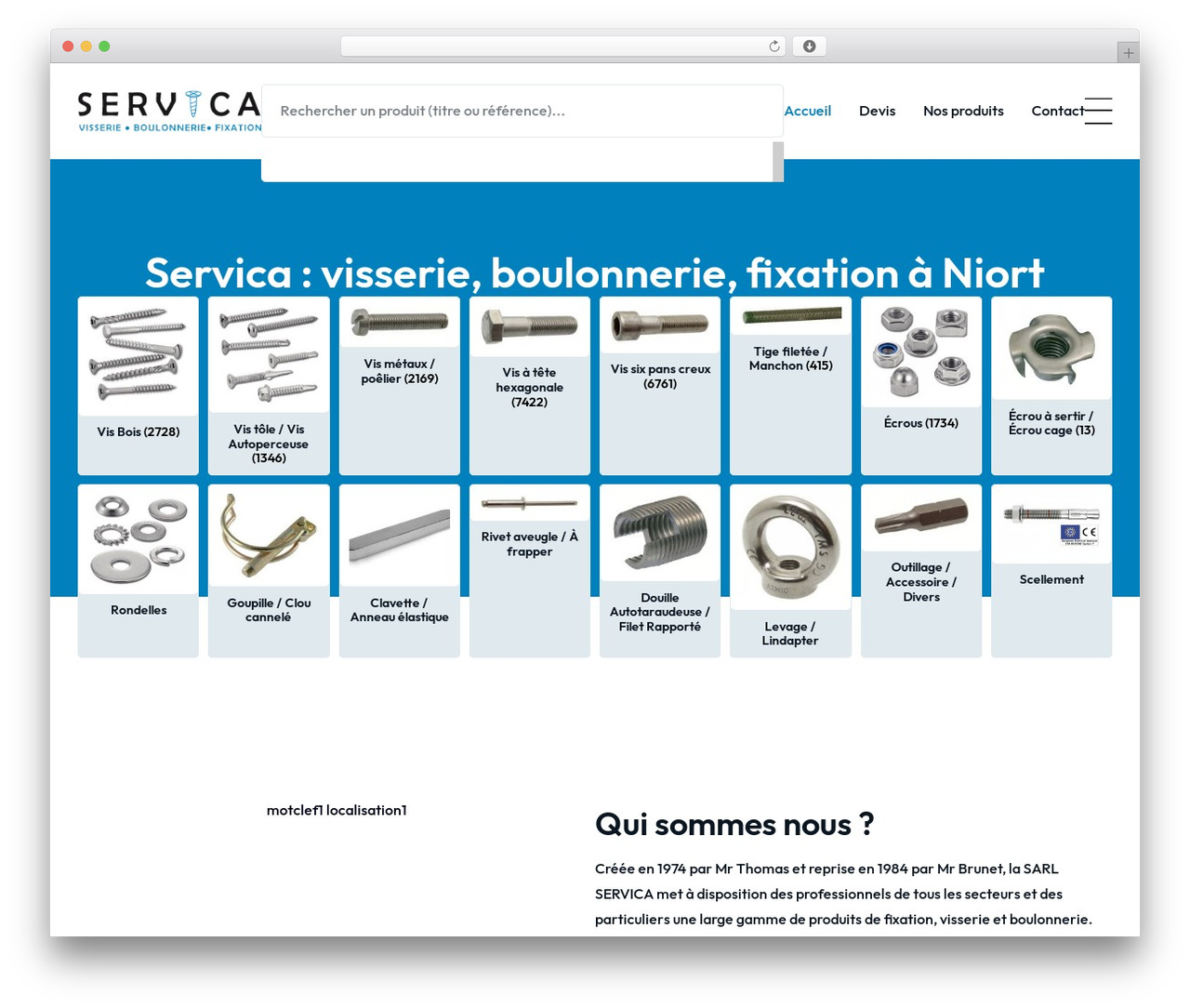 Hello Elementor theme WordPress - servica-niort.fr