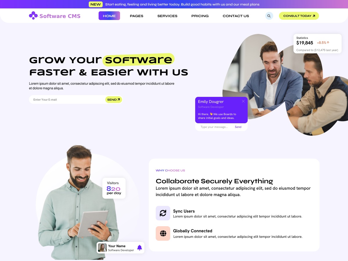 Software CMS WP theme by WP Radiant