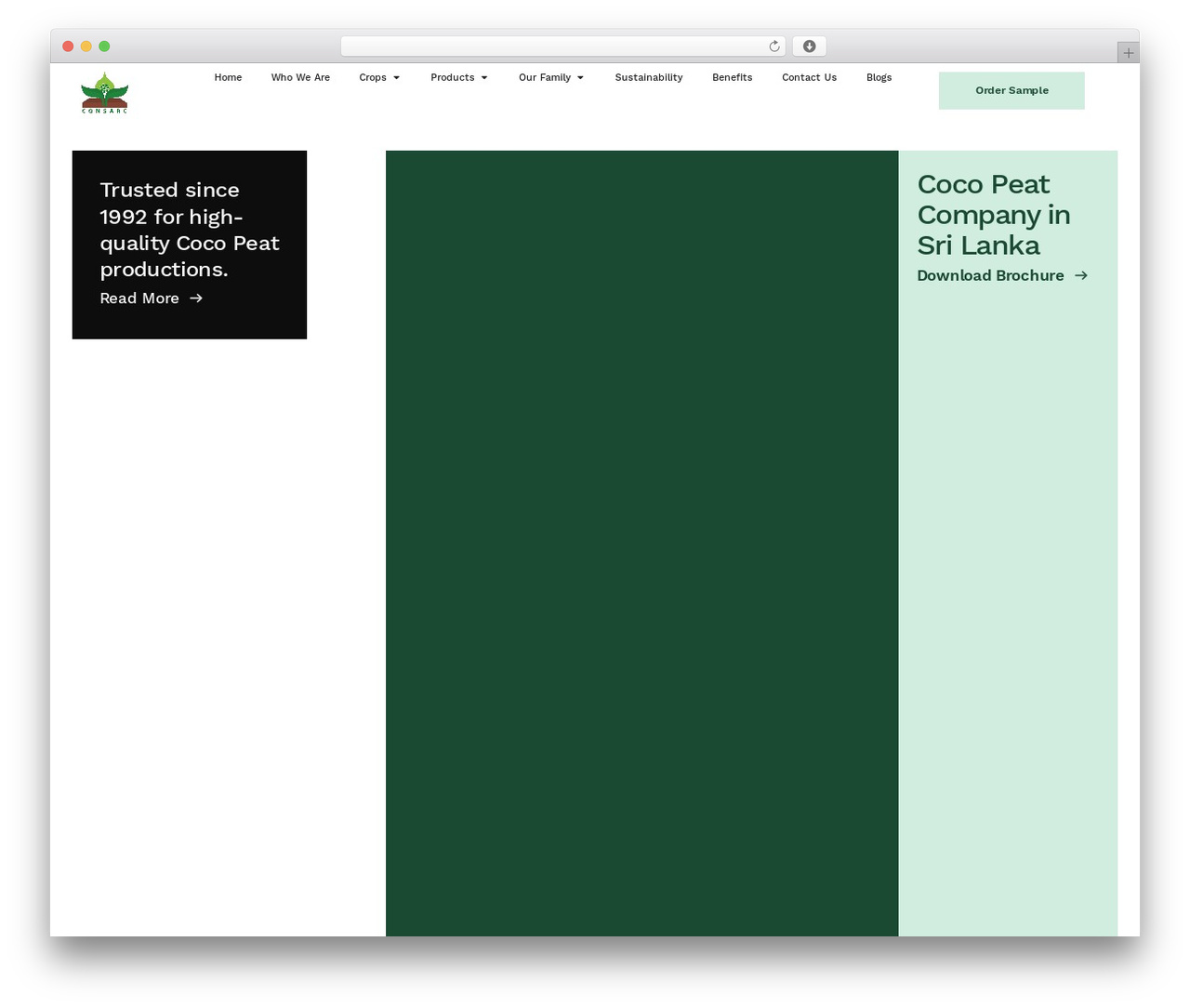 WordPress theme Hello Elementor - consarcexports.com