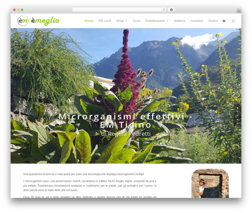 Ds divi extras WordPress plugin - emeglio.ch